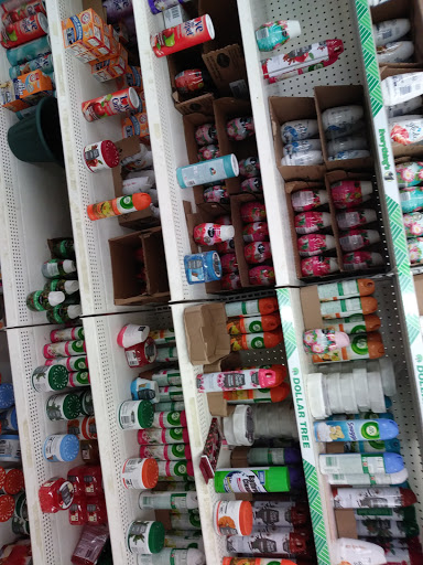 Dollar Store «Dollar Tree», reviews and photos, 4420 Jonesboro Rd, Forest Park, GA 30297, USA