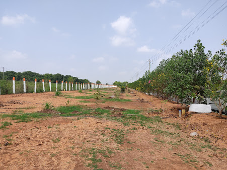 Google Maps image 23