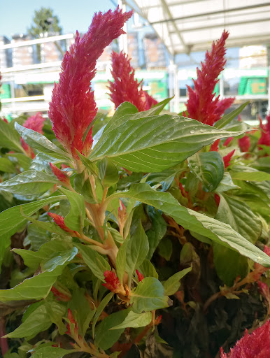 Home Improvement Store «The Home Depot», reviews and photos, 10991 Silverdale Way NW, Silverdale, WA 98383, USA