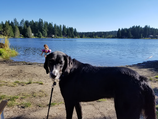 Park «Cottage Lake Park», reviews and photos, NE Woodinville Duvall Rd, Woodinville, WA 98072, USA