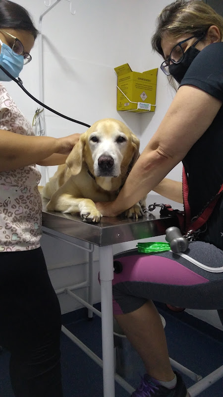 Vet Family - Unidade Bom Clima — Veterinário em Guarulhos, SP