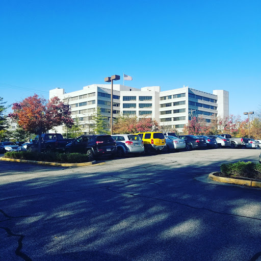 Freight Forwarding Service «UPS Freight», reviews and photos, 1000 Semmes Ave, Richmond, VA 23224, USA