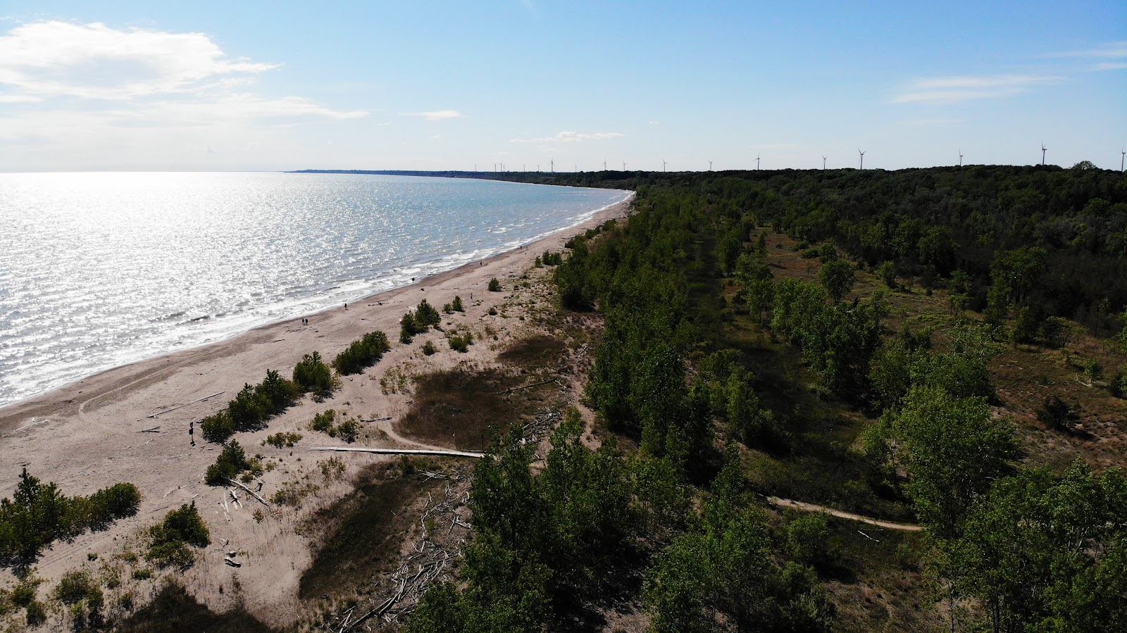 Photo de Dog Beach avec un niveau de propreté de très propre