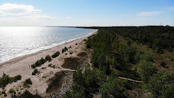 Foto van Dog Beach met hoog niveau van netheid