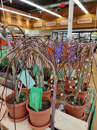 Grocery Store «Fresh Thyme Farmers Market- Newport», reviews and photos, 82 Carothers Rd, Newport, KY 41071, USA