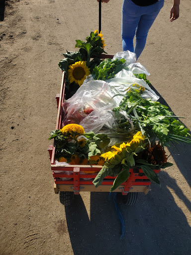 Produce Market «Underwood Family Farms», reviews and photos, 3370 Sunset Valley Rd, Moorpark, CA 93021, USA