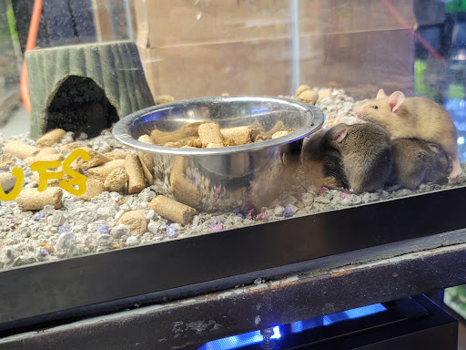 Pet Store «Moby Dick Pet Store Inc», reviews and photos, 3700 Sashabaw Rd, Waterford Twp, MI 48329, USA