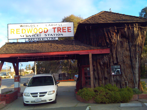 Auto Repair Shop «Redwood Tree Service Station», reviews and photos, 859 N State St, Ukiah, CA 95482, USA