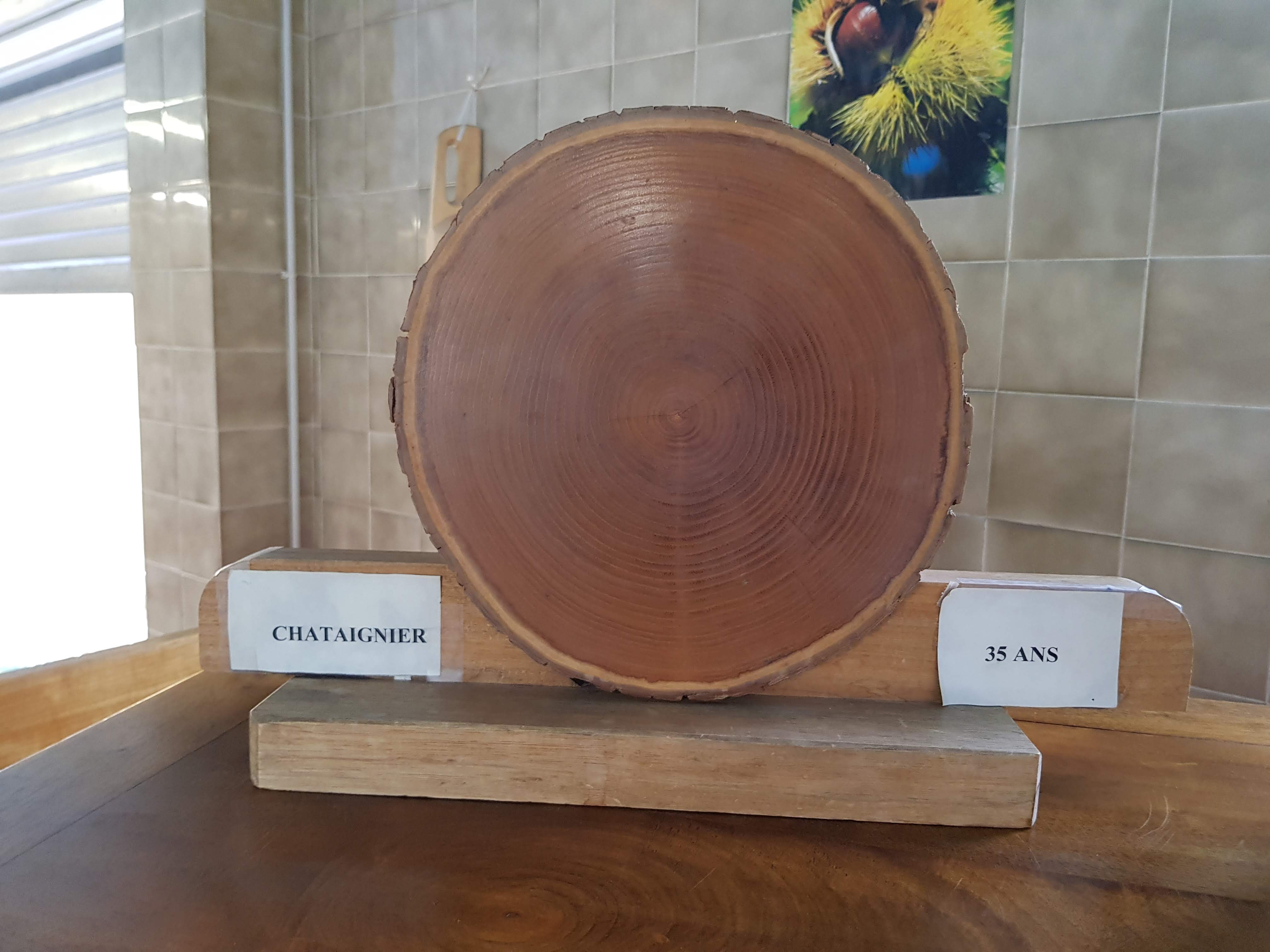 Photo n° 2 de l'avis de Martine.u fait le 25/05/2019 à 19:04