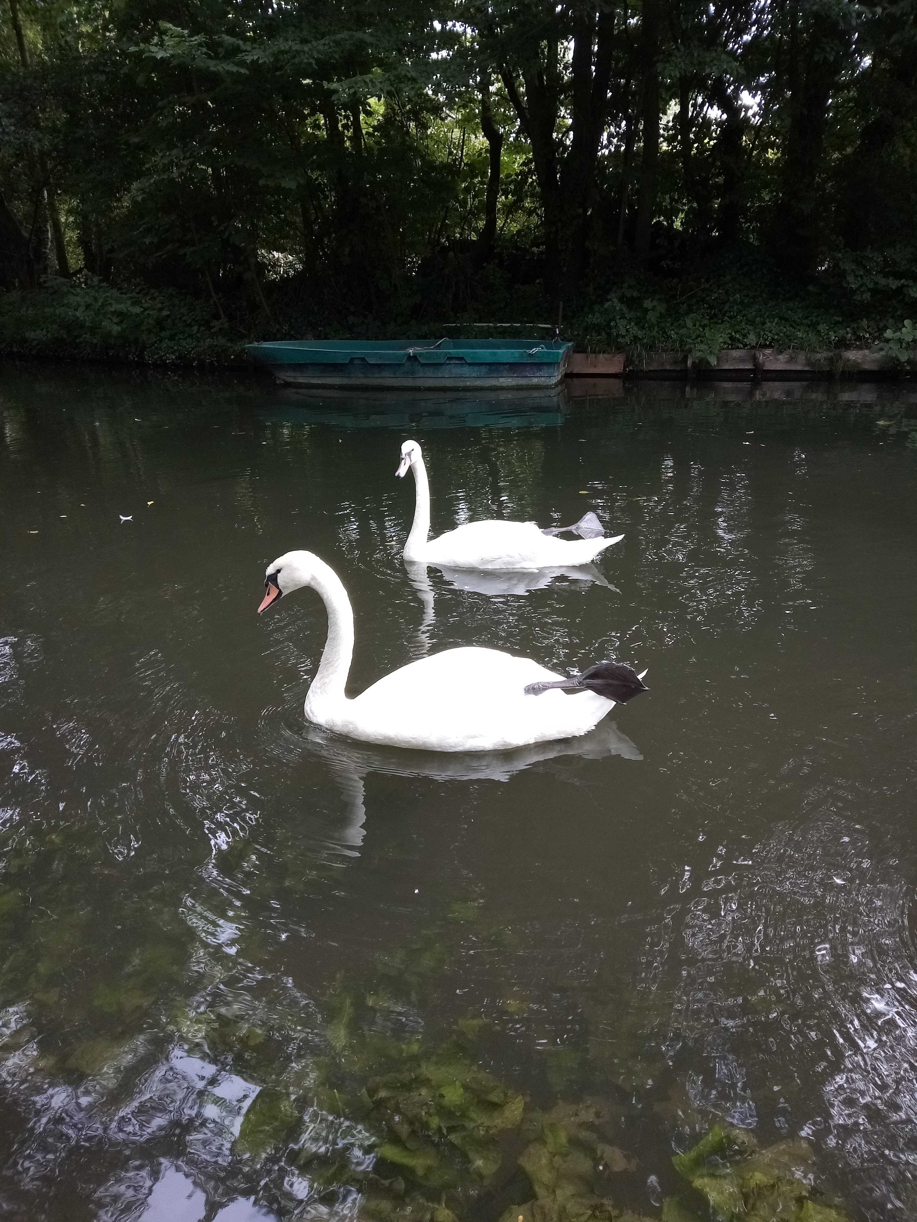 Photo n° 2 de l'avis de frederic.h fait le 16/07/2022 à 16:29