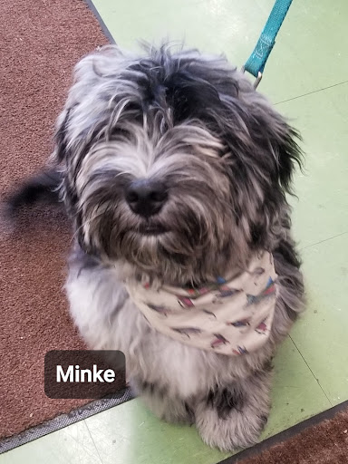 Pet Supply Store «Animal Krackers Inc», reviews and photos, 232 Main St, Gloucester, MA 01930, USA