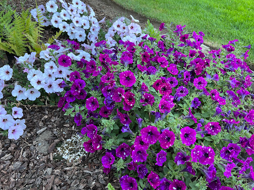 Casino «Spirit Mountain Casino», reviews and photos, 27100 Salmon River Hwy, Grand Ronde, OR 97347, USA