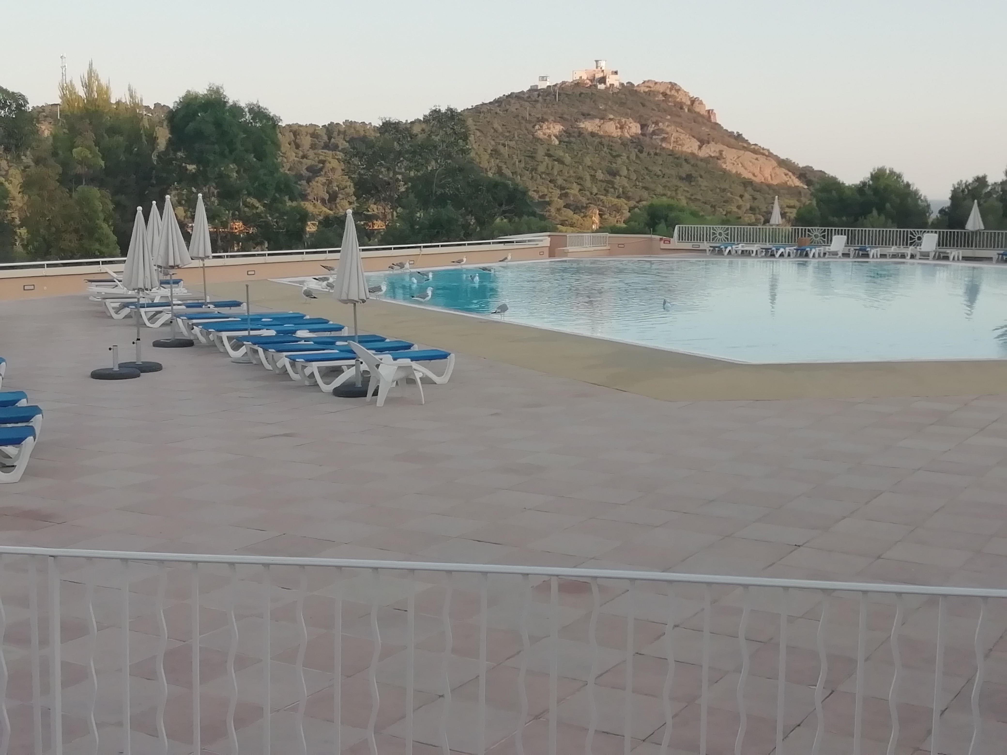 Photo n° 1 de l'avis de Nicolas. fait le 21/08/2019 à 09:03