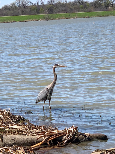 Nature Preserve «Elm Fork Nature Preserve Trail Entrance», reviews and photos, 2335 Sandy Lake Rd, Carrollton, TX 75006, USA