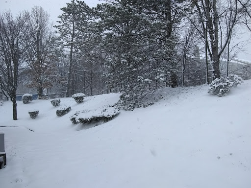 Dry Cleaner «Enterprise Cleaners», reviews and photos, 156 Enterprise St # C, Sterling, VA 20164, USA