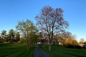 Noden Reed Park image