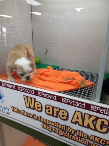 Pet Store «Petland», reviews and photos, 920 Hebron Rd, Heath, OH 43056, USA