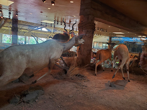 Sporting Goods Store «Bass Pro Shops», reviews and photos, 8200 Dean Martin Dr, Las Vegas, NV 89139, USA