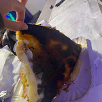 Photo n°1 de l'avis de Estefania.u fait le 09/11/2023 à 13:53 sur le  Pizzeria Tre Corone à Nembro