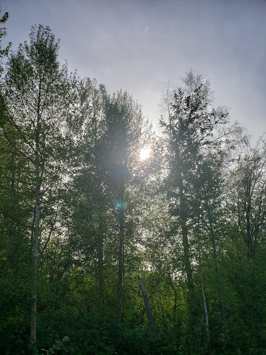 Park «Ferguson Park», reviews and photos, 1330 Ferguson Park Rd, Snohomish, WA 98290, USA