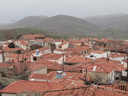 Γενικό Λύκειο Άντισσας