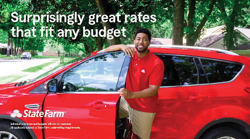 Insurance Agency «Michele Fanelli - State Farm Insurance Agent», reviews and photos