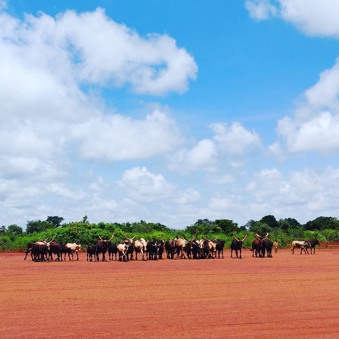 Bria, Orta Afrika Cumhuriyeti