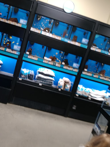 Pet Supply Store «Petco Animal Supplies», reviews and photos, 325 Paul Huff Parkway, Cleveland, TN 37312, USA