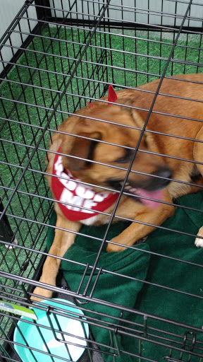 Pet Supply Store «Petco Animal Supplies», reviews and photos, 1791 Clarkson Rd, Chesterfield, MO 63017, USA