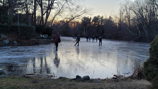 Nature Preserve «Steer Swamp Conservation Area», reviews and photos, 188 Washington St, Marblehead, MA 01945, USA