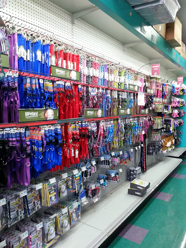 Pet Store «Petland Fairfax», reviews and photos, 9404 Main Street, Fairfax, VA 22031, USA