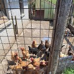 Photo n°4 de l'avis de Davide.i fait le 30/07/2023 à 06:21 sur le  Albergo Ristorante Forte Cherle à Folgaria