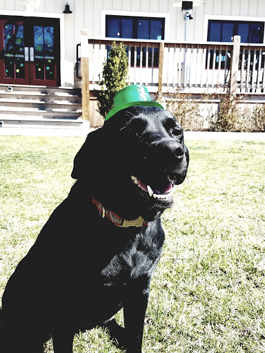 Winery «White Horse Winery», reviews and photos, 106 Hall St, Hammonton, NJ 08037, USA