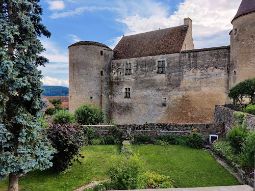 hôtels Logis Hostellerie du Château Chateauneuf