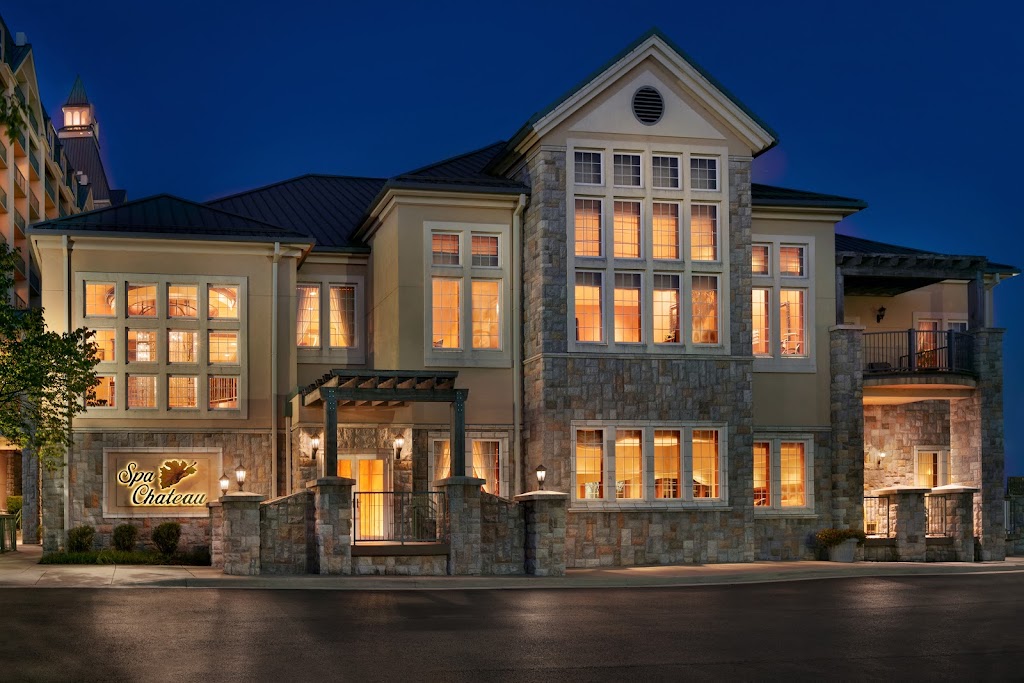 Spa Chateau 65616