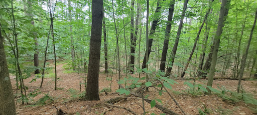 Environmental Organization «VINS Nature Center», reviews and photos, 6565 Woodstock Rd, Quechee, VT 05059, USA