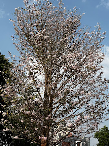 Google Maps image 25