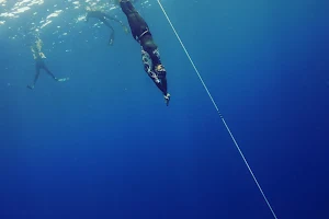 Ocean Instinct Freediving image