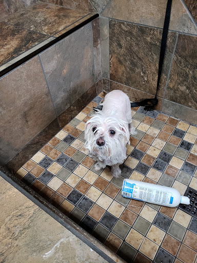 Pet Supply Store «Pet Valu», reviews and photos, 411 Valley Brook Ave, Lyndhurst, NJ 07071, USA