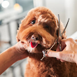 Precious Pets Grooming Salon