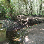 Photo n° 1 de l'avis de camille.e fait le 13/08/2020 à 18:52 pour Grotte Notre-Dame de Paimpont à Paimpont