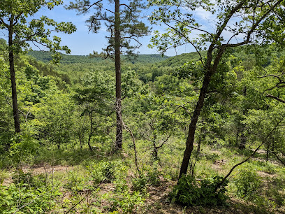 Overlook Trail