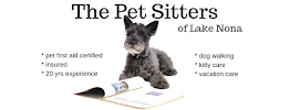 The Pet Sitters of Lake Nona - Photo 3 - Car repair in , Orlando