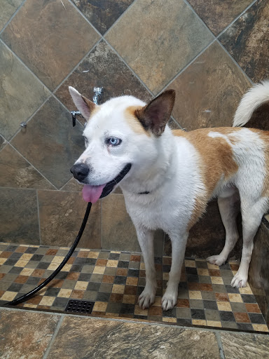 Pet Supply Store «Pet Supermarket, Inc.», reviews and photos, 1052 Peachtree Industrial Blvd, Suwanee, GA 30024, USA