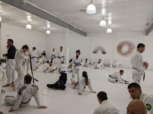 Art of Jiu Jitsu Academy image