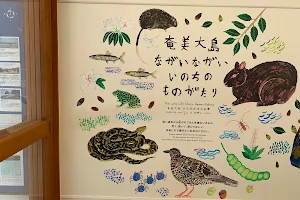 Amami Oshima World Heritage Conservation Center image