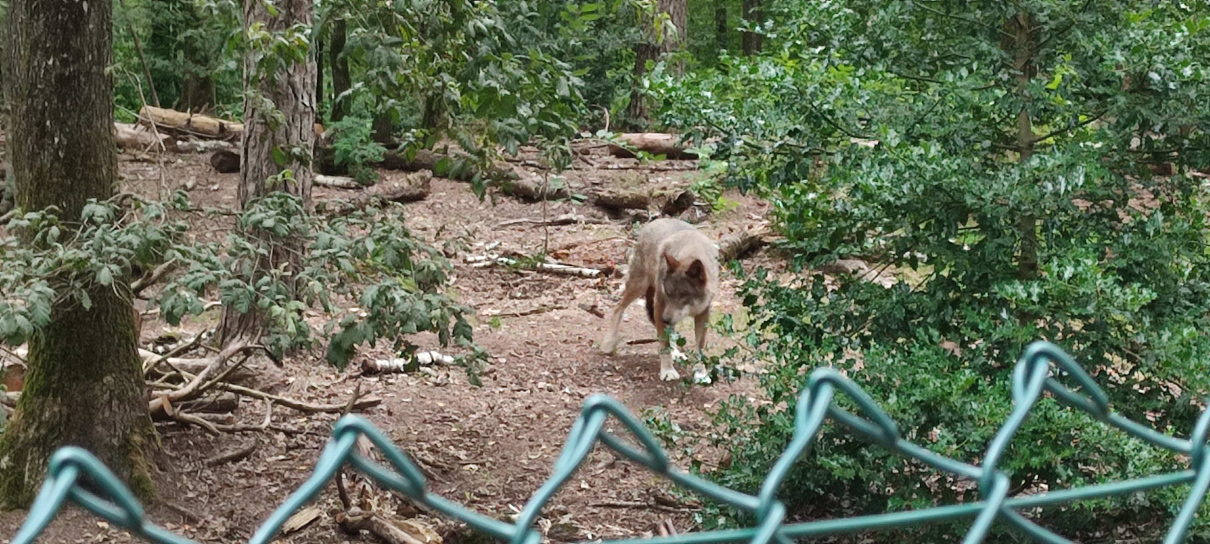 Photo n° 2 de l'avis de Théo.a fait le 26/07/2023 à 12:04