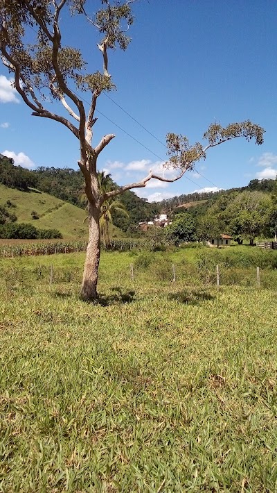 park