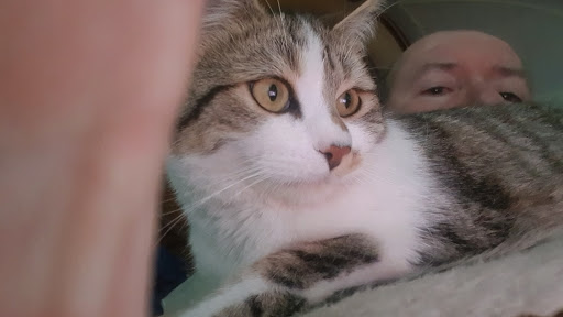 Centro Veterinario Trujillano en Trujillo