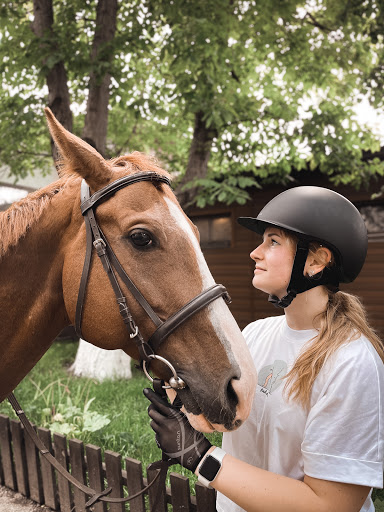 Horse riding lessons Kiev
